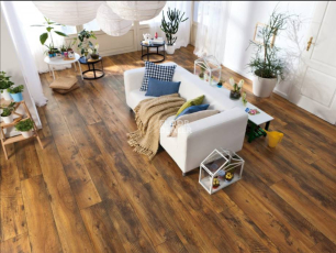 Haro Tritty 100 4V ДУБ АЛЬТХОЛЬЦ 526678 фото 2 | FLOORDEALER